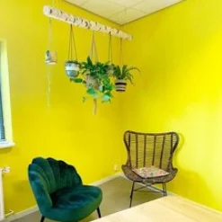 Birkenstamm | Länge 50 –150 cm | Ø 8–9 cm