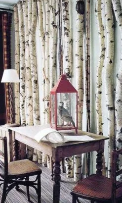 Birkenstamm | Länge 175 bis 300 cm | Ø 8-9 cm