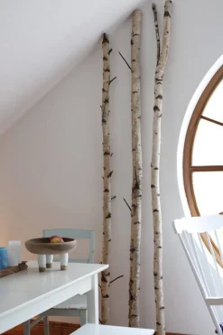 Birkenstamm | Länge 50–150 cm | Ø 6–7 cm