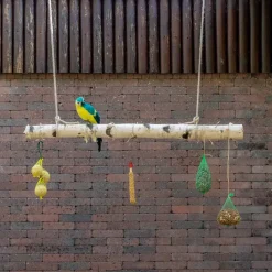 Birkenstamm | Länge 50–150 cm | Ø 6–7 cm