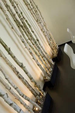 Birkenstamm | Länge 175–300 cm | Ø 3-5cm