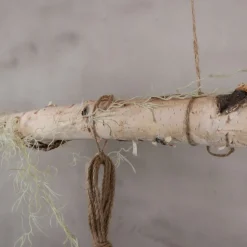 Birkenstamm | Länge 175–300 cm | Ø 3-5cm