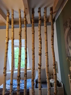 Birkenstamm mit Stellfuß | Länge ab 200 cm