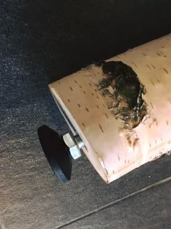 Birkenstamm mit Stellfuß | Länge ab 200 cm