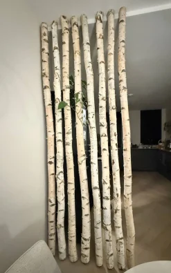 Birkenstamm mit Stellfuß | Länge ab 200 cm