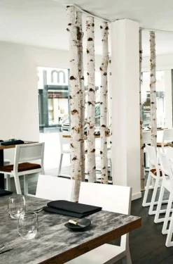 Birkenstamm mit Stellfuß | Länge ab 200 cm