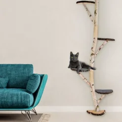 Birken-Wandkratzbaum | Simba | 200x80cm