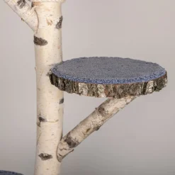 Birken-Wandkratzbaum | Simba | 200x80cm