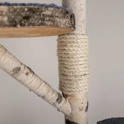 Birken-Wandkratzbaum | Simba | 200x80cm