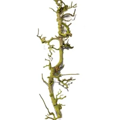 Birnenäst | Naturbelassen | von 40 bis 150 cm