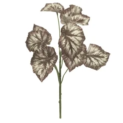 Blatt Begonie | Rot-Grün | 45cm