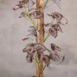 Blattbegonie auf Stamm | Rot/Grün | 100cm