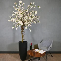Blütenbaum Chloë mit Topf | Weiß mit einem Hauch von Rosa mit grünem Blatt | 200 cm