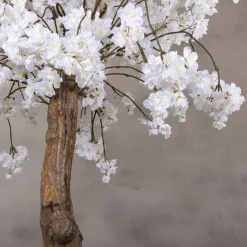 Blütenbaum Gaia mit Topf | Weiß | 200 cm