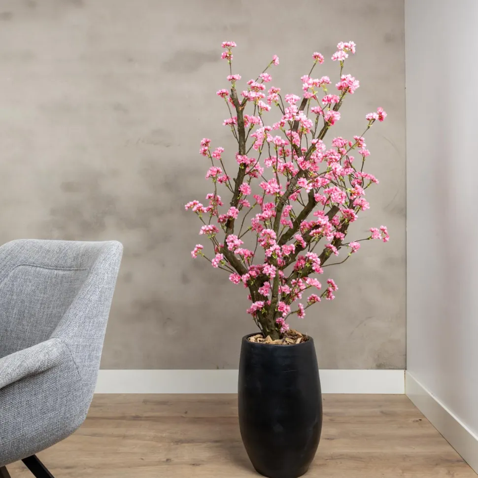 Blütenbaum Livia mit Topf | Leuchtend rosa | Groß | 150 cm