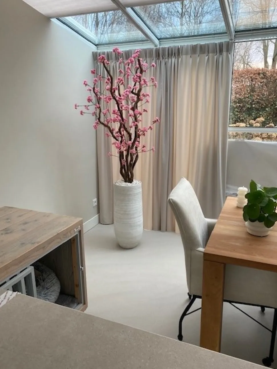 Blütenbaum Livia mit Topf | Leuchtend rosa | Groß | 150 cm