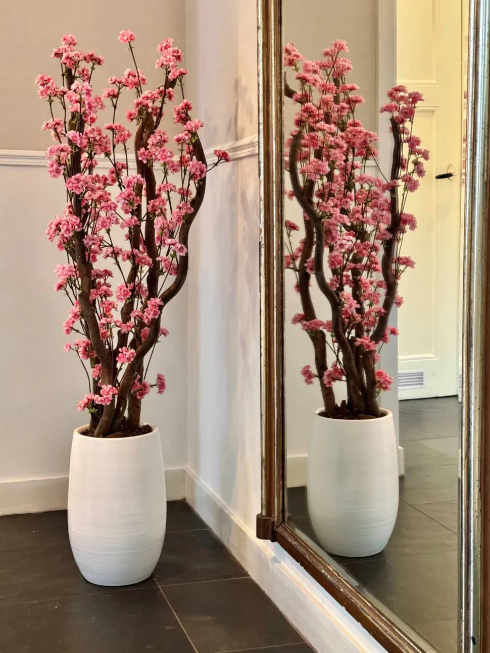 Blütenbaum Livia mit Topf | Leuchtend rosa | Groß | 150 cm