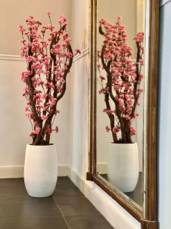 Blütenbaum Livia mit Topf | Leuchtend rosa | Groß | 150 cm