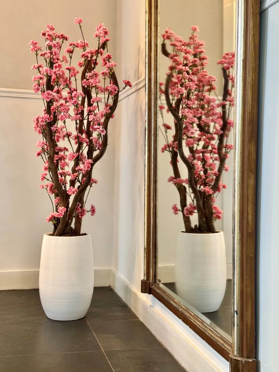 Blütenbaum Livia mit Topf | Leuchtend rosa | Groß | 150 cm