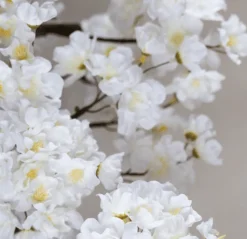 Blütenstrauch Elody mit Topf | Weiß | 140 cm