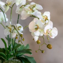 Blumengesteck Isabella | 60 cm