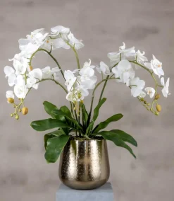 Blumengesteck Kyara | 60 cm