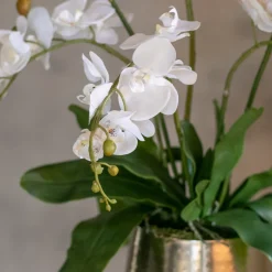 Blumengesteck Kyara | 60 cm