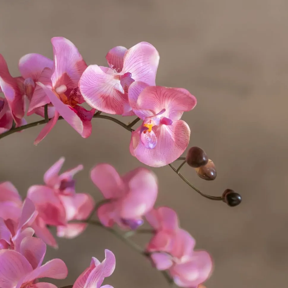 Blumengesteck Melody | 60 cm