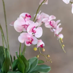 Blumengesteck Shirley | 60 cm