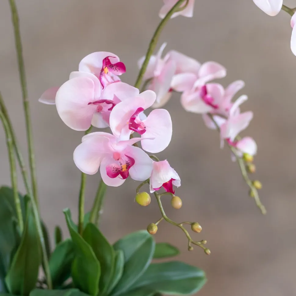 Blumengesteck Shirley | 60 cm