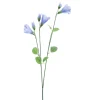 Campanula-Seidenblume | Violett | 65 cm