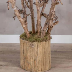 Champagnerbaum mit drei Birnenzweigen -150 cm