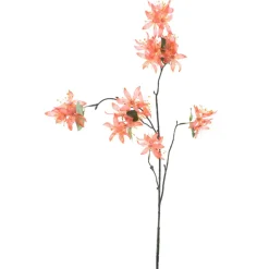 Clematis-Seidenblume | Korallenrot | 85 cm