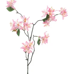 Clematis-Seidenblume | Rosa | 85 cm