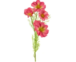 Cosmea-Seidenblume | Leuchtend rosa | 75 cm