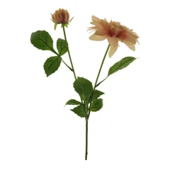 Dahlie | Rosa | 70cm