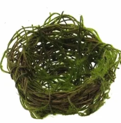 Deko Vogelnest | Moos | 9cm
