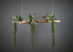 Deko-Ast | Alterosa | 150 cm