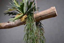 Deko-Ast | Alterosa | 150 cm