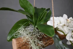 Deko-Ast | Alvorada | 150 cm