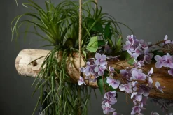 Deko-Ast | Amarant | 150 cm