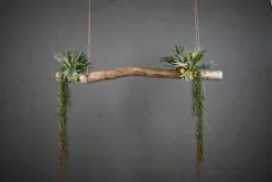 Deko-Ast | Amargosa | 150 cm