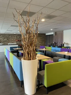 Deko-Set | Korkenzieheräste | Sandgestrahlt | 160 cm