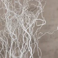 Deko-Set | Korkenzieherweide | Weiß | 120 cm