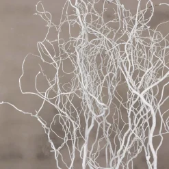 Deko-Set | Korkenzieherweide | Weiß | 120 cm