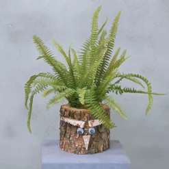 Eichenstamm | Farnwald | 30 cm