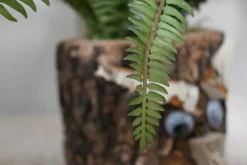 Eichenstamm | Farnwald | 30 cm