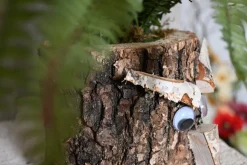 Eichenstamm | Farnwald | 30 cm