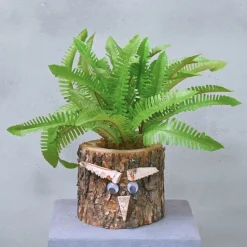 Eichenstämmchen | Waldreich | 30 cm