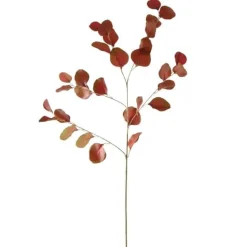 Eukalyptuszweig | Rot/Grün | 85cm